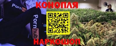 крисы Кунгур