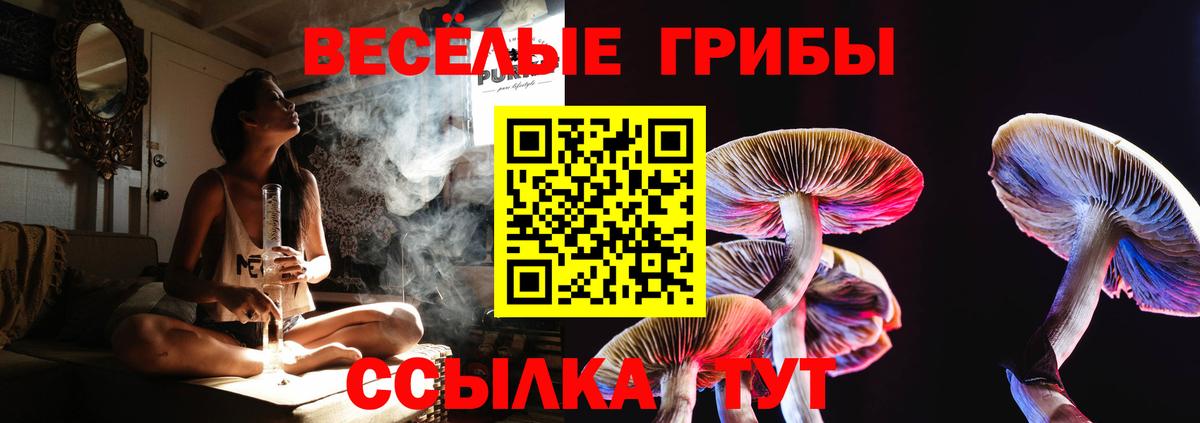 Гуково  Псилоцибиновые грибы Psilocybe  Вход с VPN 